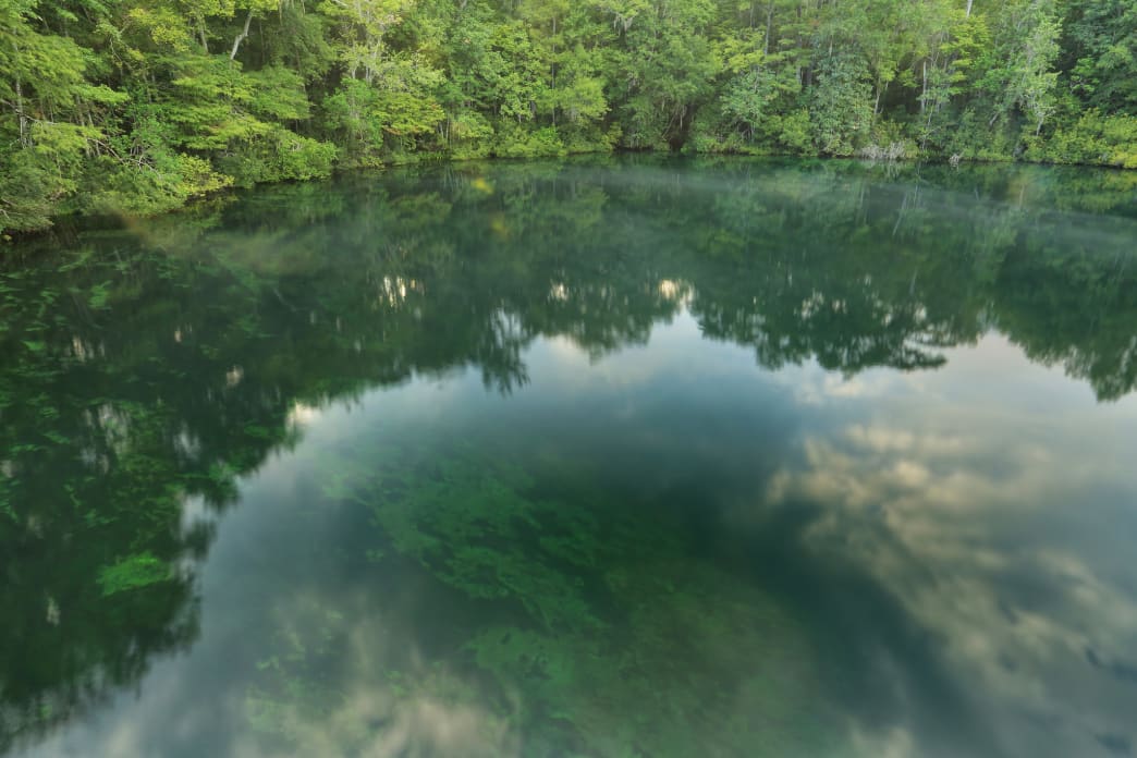 A Guide to the Best State Parks in Northwest Florida