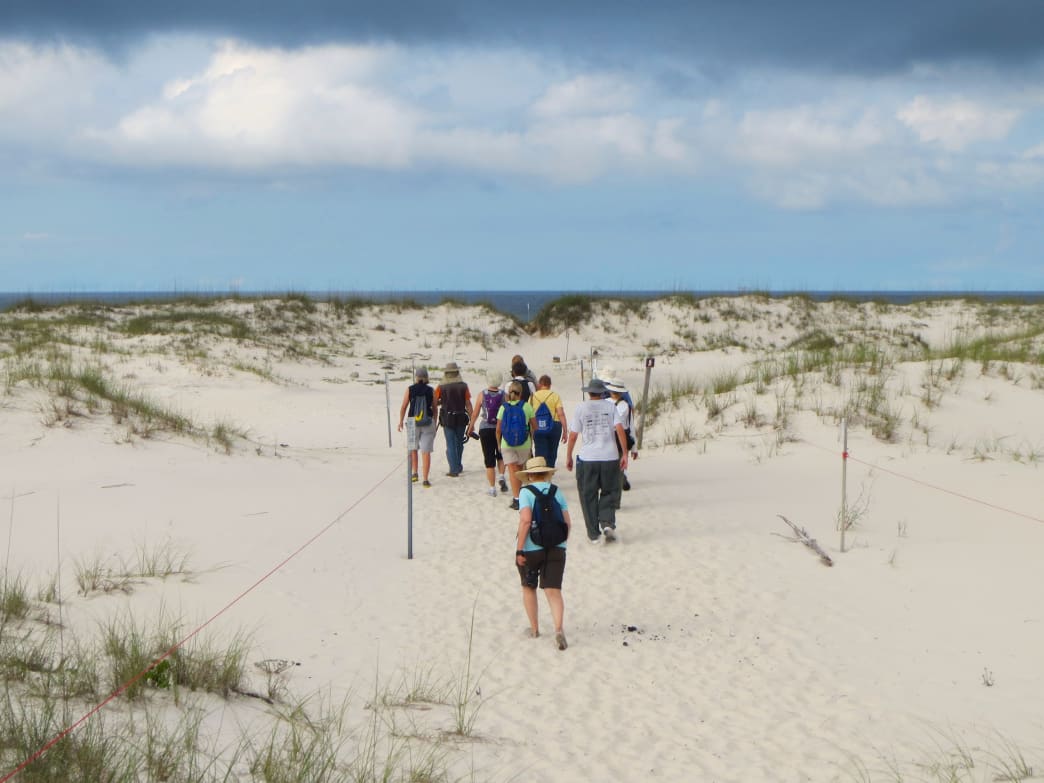 Beyond the Beach: 10 Must-Do Summer Adventures on Alabama’s Gulf Coast