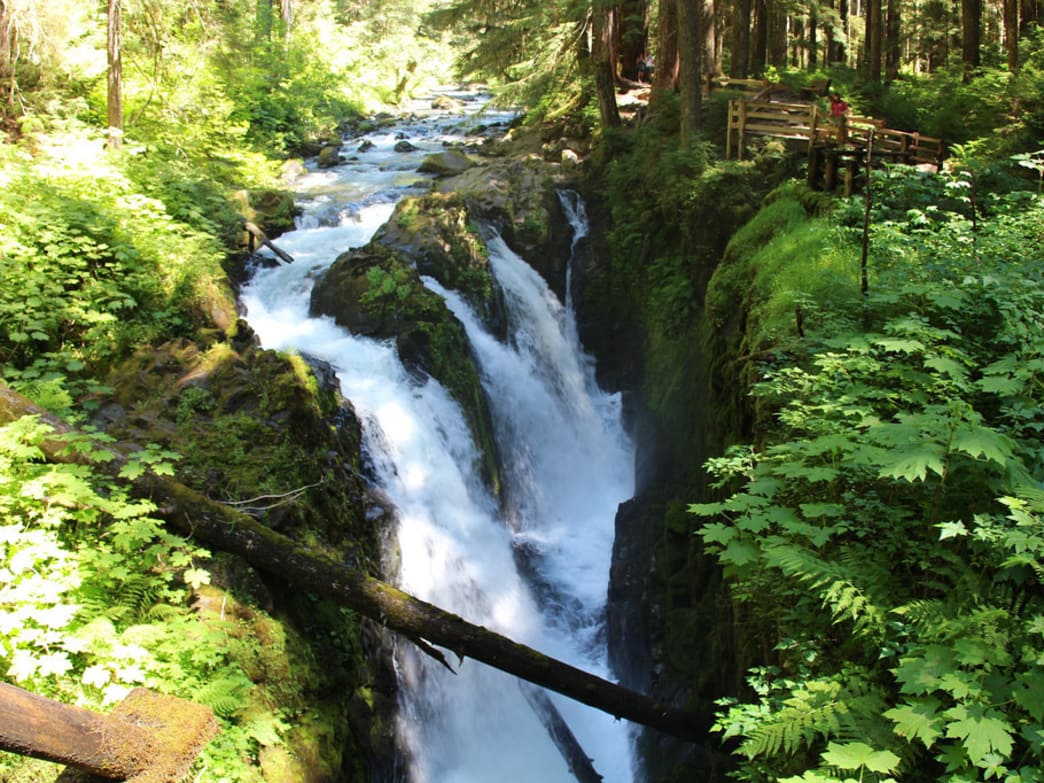 6 Enchanting Waterfalls Around Olympic National Park