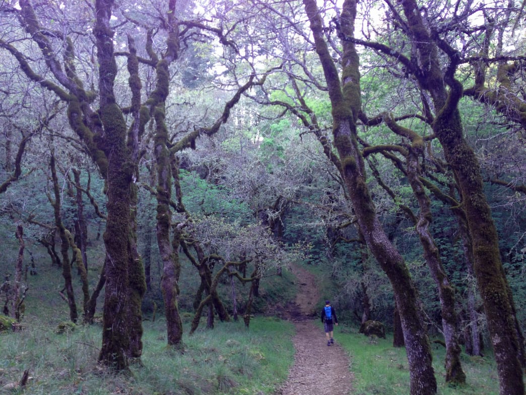 8 Great Things To Do in San Francisco This Spring