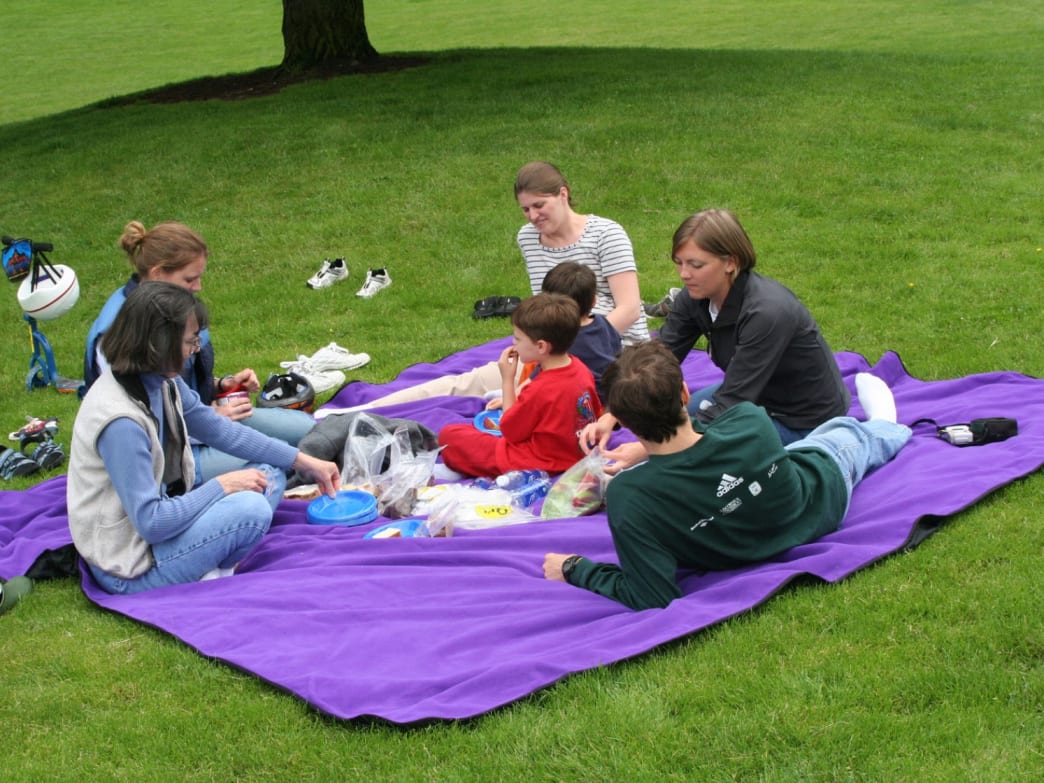 How to Plan and Execute the Perfect Family Picnic