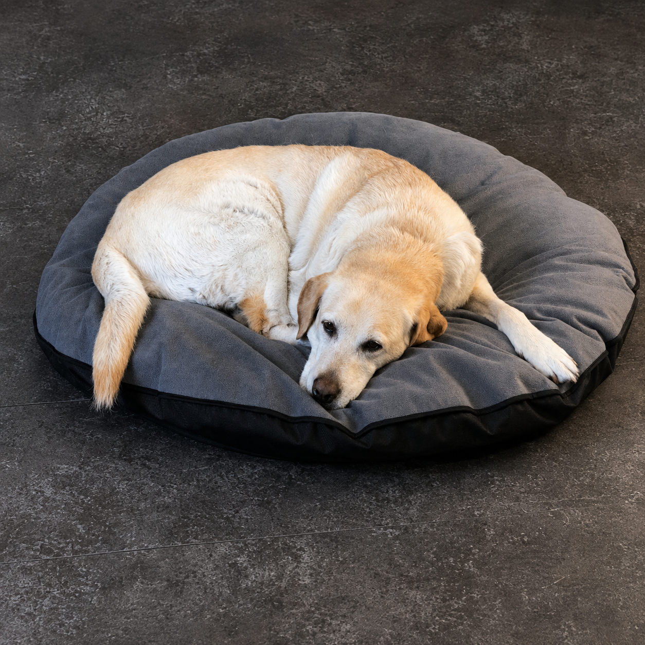 Dog Bed Cover