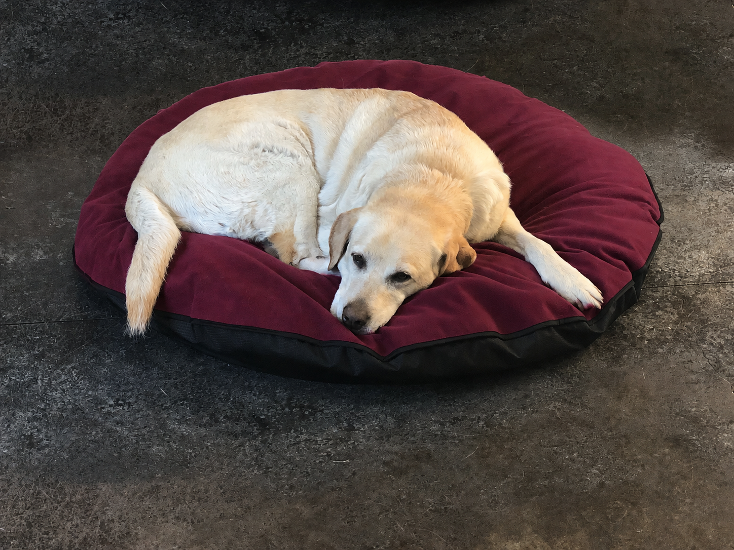 Dog Bed Cover