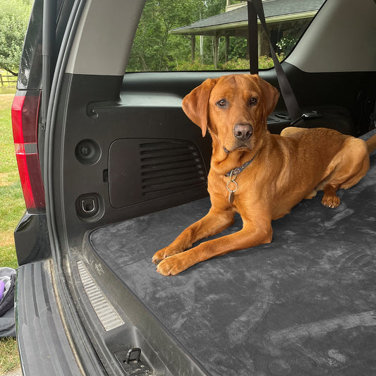 Clearance Non-Slip Pet Blanket Charcoal