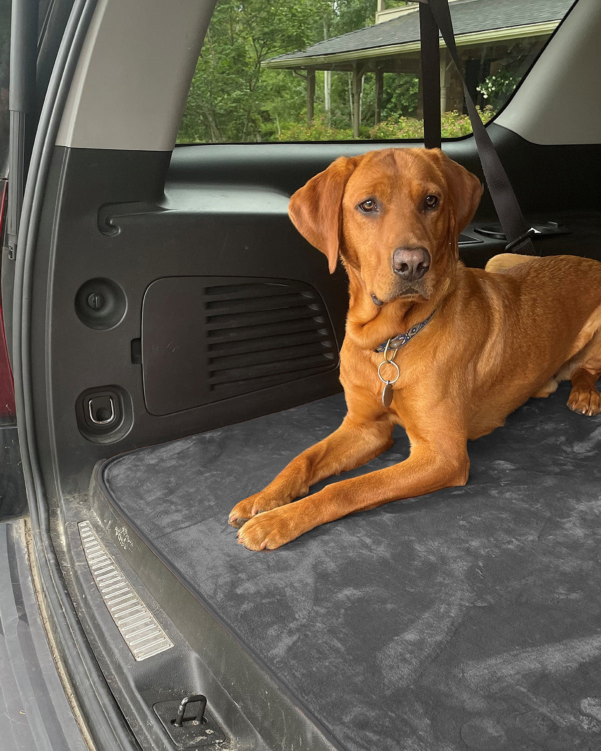 Non-Slip Pet Blanket