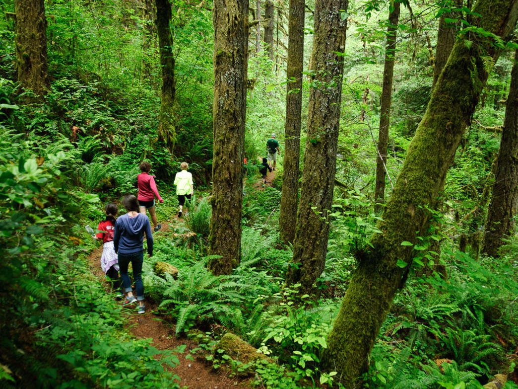 5 Portland Hikes Perfect for the Kids
