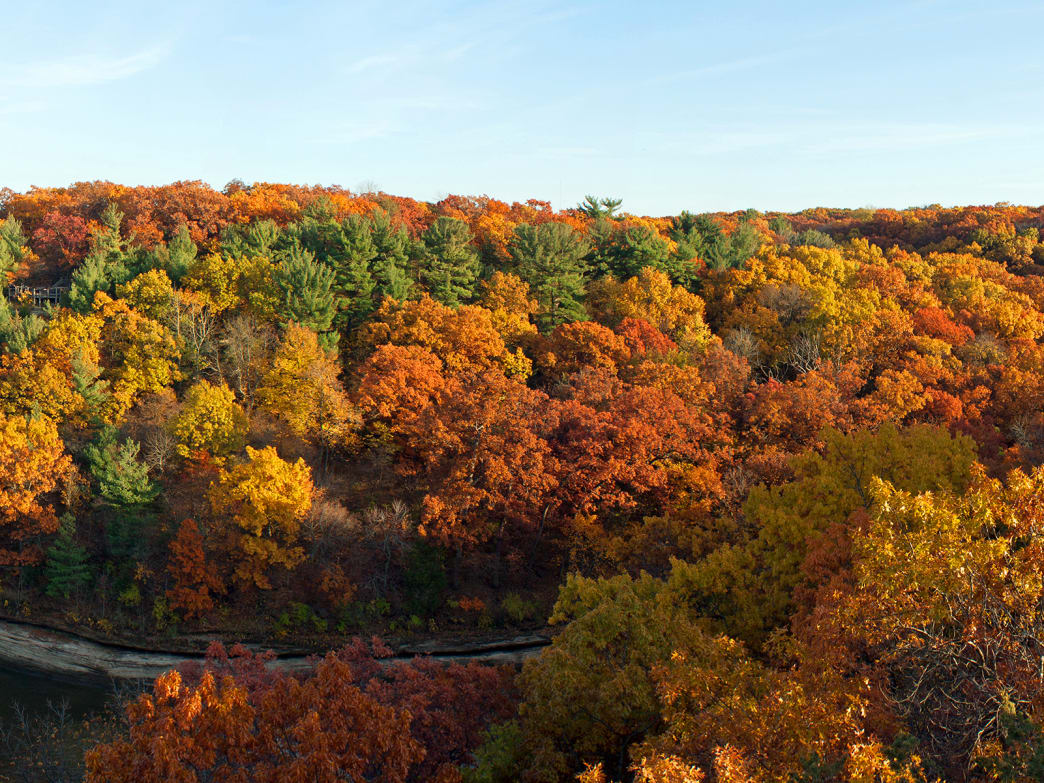 Chicago's Fall Bucket List: 6 Things You Should Do This Autumn