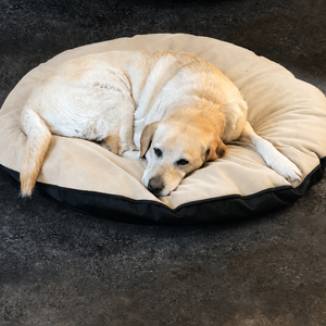 Dog Bed Cover