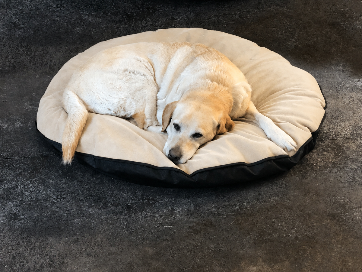 Dog Bed Cover