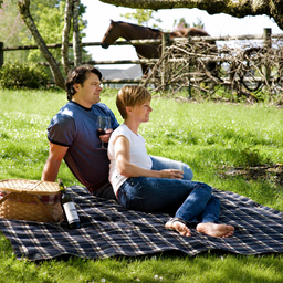 Essential All Season Blanket