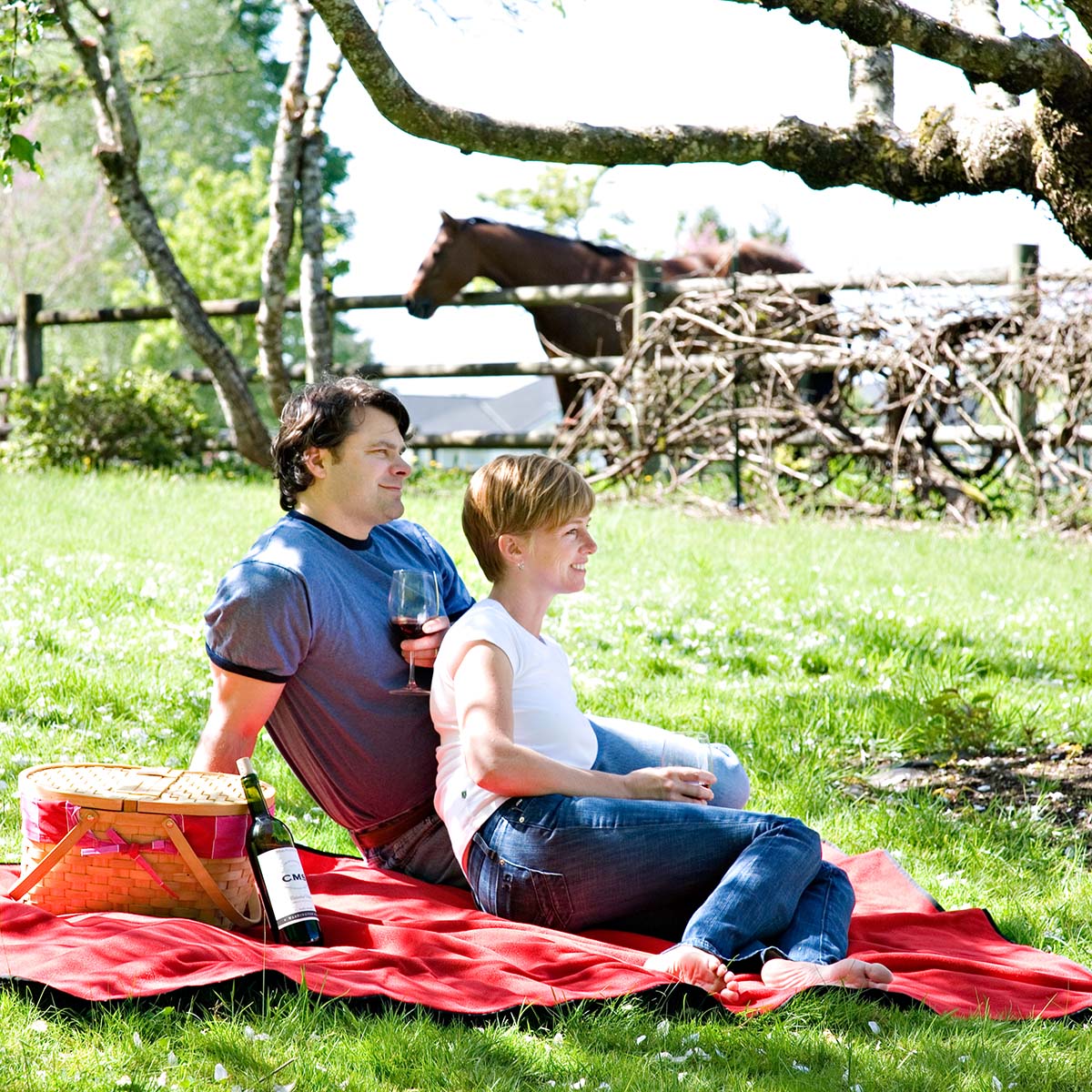 Individual picnic online blanket