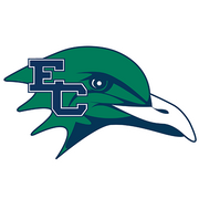 Custom Endicott Gulls Hooded Blanket