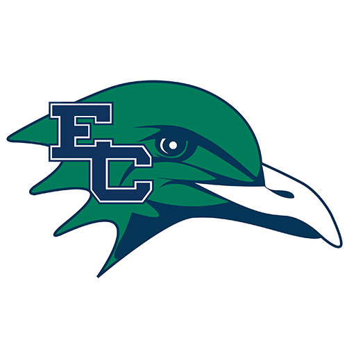 Custom Endicott Gulls Hooded Blanket