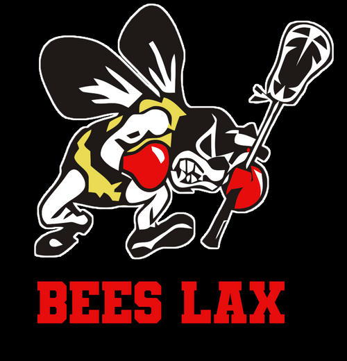 Custom Bees LAX Hooded Blanket