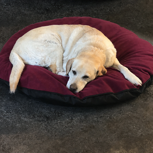 Dog Bed Cover