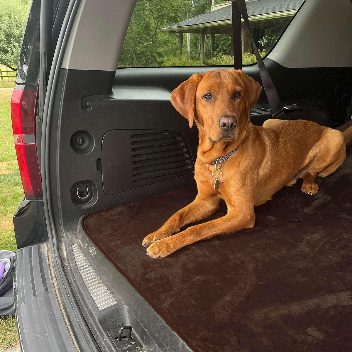 Sure Step Cosy Cover For Car Seat Dog Blanket For Car Fluffy Cozy