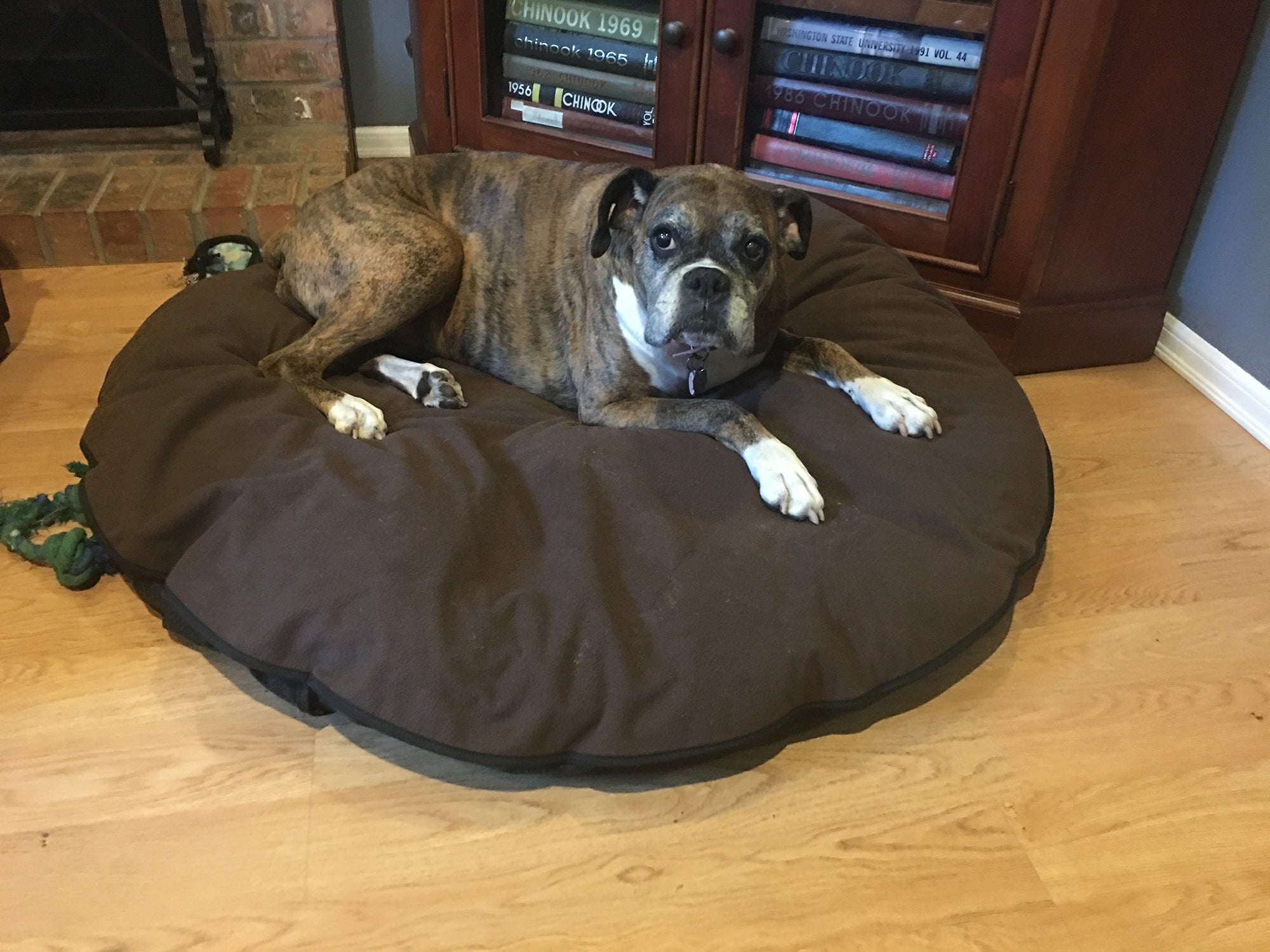 Dog Bed Cover