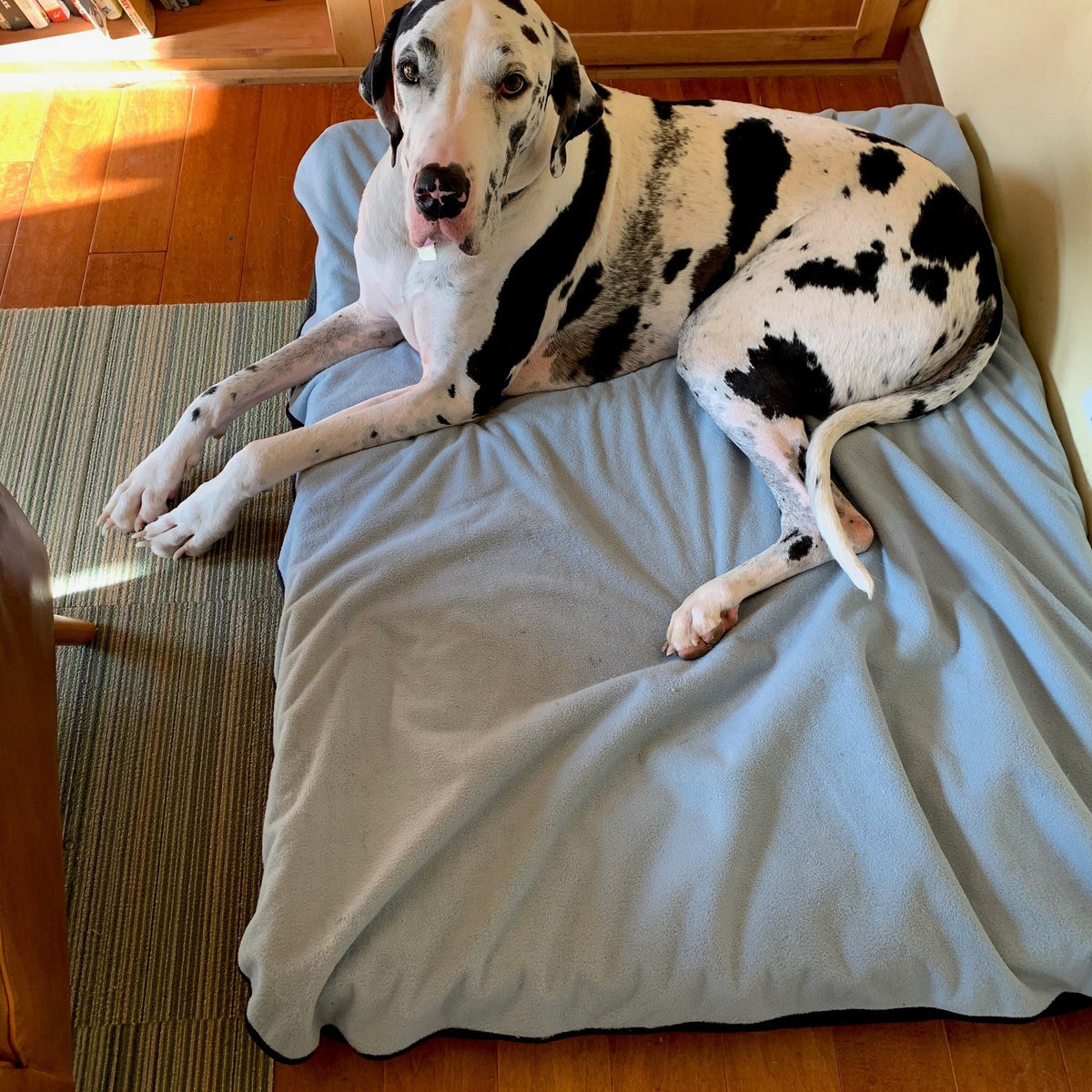 Dog Bed Cover